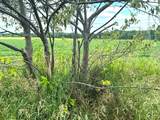1602 State Highway 60 - Photo 44
