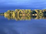 30960 Old Mill Rd - Photo 102