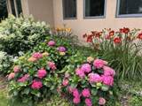 30960 Old Mill Rd - Photo 109