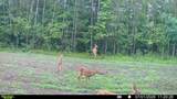 000 Deerborn Dr - Photo 15
