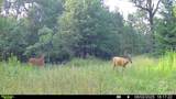 000 Deerborn Dr - Photo 2