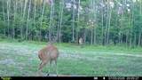 000 Deerborn Dr - Photo 22