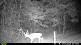 000 Deerborn Dr - Photo 32