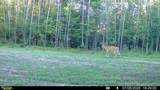 000 Deerborn Dr - Photo 8