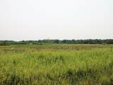 Lot 1 Sandhill Dr - Photo 3