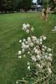 1800 12th Ave - Photo 14