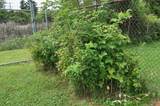 1800 12th Ave - Photo 18