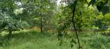 N2720 Resthaven Rd - Photo 37