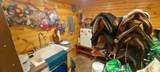 N2720 Resthaven Rd - Photo 48
