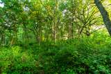 5292 Stenner Hill Rd - Photo 67