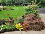 6526 110th St - Photo 13