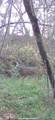 W4038 County Road Q - Photo 65