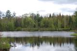 N11502 Nelson Rd - Photo 65