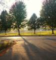 1708 73rd St - Photo 32