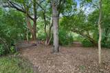 1628 Wiese Ln - Photo 8