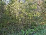 Lt1 Carstens Lake Rd - Photo 3