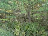 Lt1 Carstens Lake Rd - Photo 4