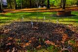 5791 Quail Dr - Photo 4