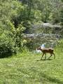 N6282 River Heights Dr - Photo 28