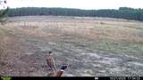 000 Cambridge Rd - Photo 50
