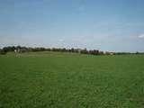 Lt1 Wilson Dr - Photo 1