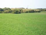 Lt1 Wilson Dr - Photo 3