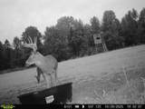 2358 State Hwy 71 - Photo 11