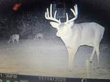 2358 State Hwy 71 - Photo 26