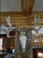 W9006 Forest Ave - Photo 29