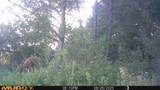 00 Lake Rd - Photo 10