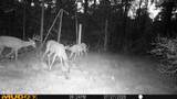 00 Lake Rd - Photo 11