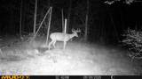 00 Lake Rd - Photo 13