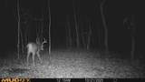 00 Lake Rd - Photo 16