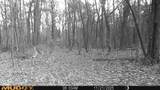 00 Lake Rd - Photo 18
