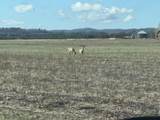00 Lake Rd - Photo 25