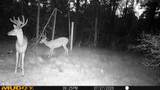 00 Lake Rd - Photo 5