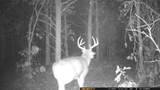 00 Lake Rd - Photo 6