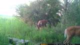 00 Lake Rd - Photo 7