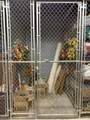832 N 6th St - Photo 24