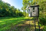 5292 Stenner Hill Rd - Photo 10
