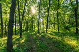 5292 Stenner Hill Rd - Photo 21