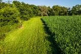 5292 Stenner Hill Rd - Photo 24
