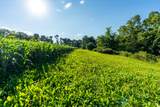 5292 Stenner Hill Rd - Photo 25