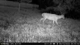 5292 Stenner Hill Rd - Photo 29