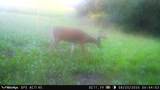 5292 Stenner Hill Rd - Photo 30