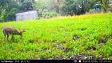 5292 Stenner Hill Rd - Photo 40
