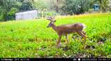 5292 Stenner Hill Rd - Photo 41