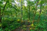 5292 Stenner Hill Rd - Photo 44
