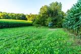 5292 Stenner Hill Rd - Photo 48