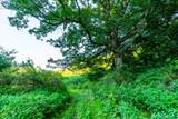 5292 Stenner Hill Rd - Photo 49